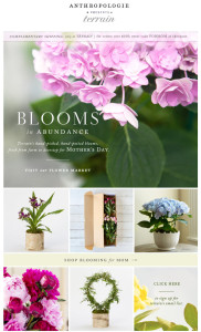 Email from Anthropologie sister brand Terrain