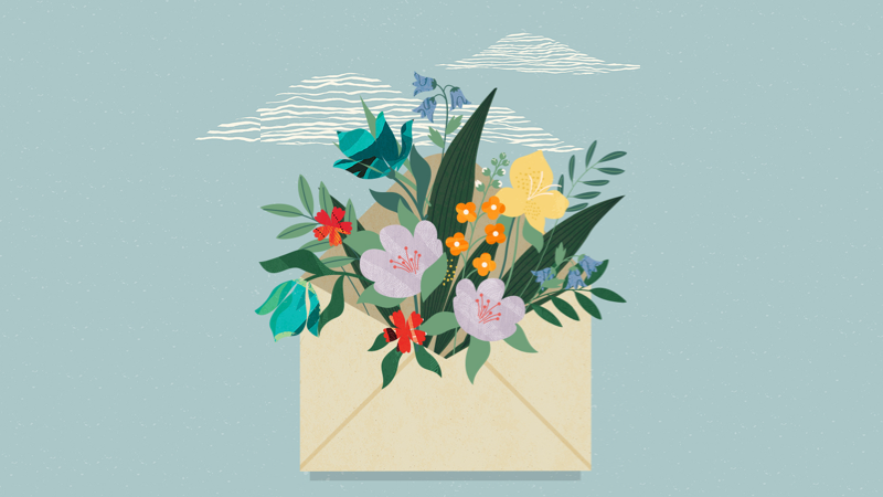 Welcome Email Best Practices