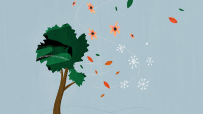 2024 Q3 Holiday Marketing Quarterly