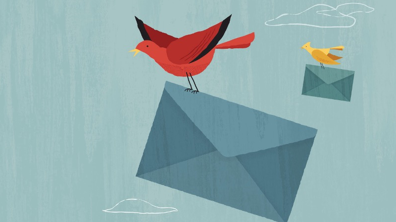 Understanding Email Deliverability