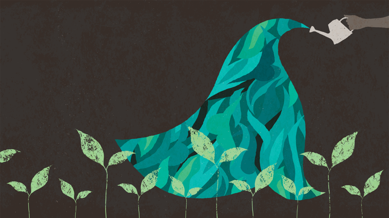 Key Lead Nurturing Campaigns by Industry